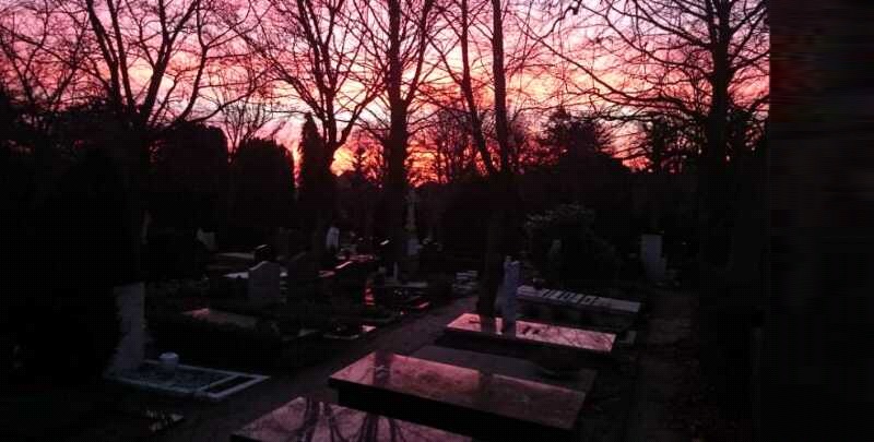 Zonsopgang op begraafplaats St. Petrus Banden, Den Haag