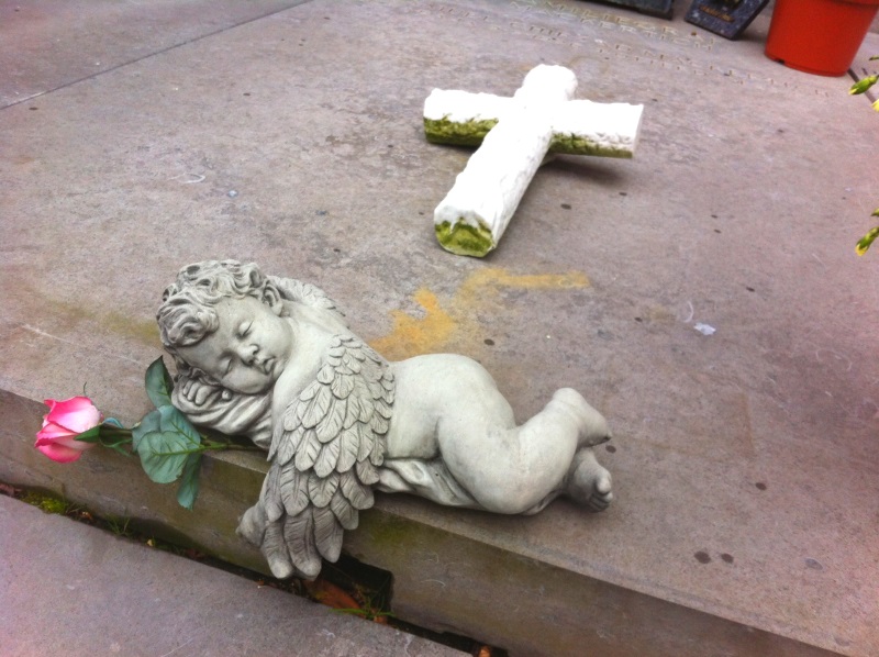 Lief klein engeltje met mooie roos op begraafplaats St. Petrus Banden, Den Haag